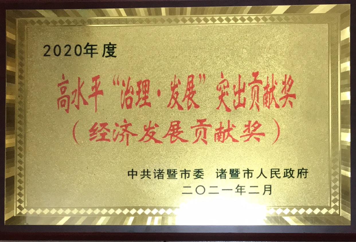 2020年度高水平“治理·發(fā)展”突出貢獻(xiàn)獎(jiǎng)